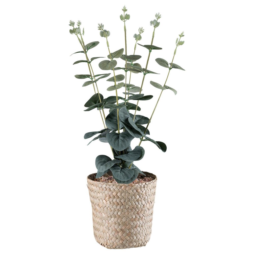Umělá Rostlina Eukalyphus Výška: Cca 38cm